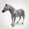 Lantern Zebra