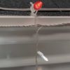 Icicle Light Clip displayed on a house gutter with icicle lights and C9 light bulb
