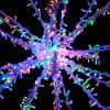 Close up of Oversized Dynamic RGB Spritzer displayed lit multi on black background