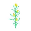 Fall Harvest LED Corn Stalk 72inch