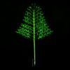 Picture of Dynamic RGBWW Illuminated Stake Tree