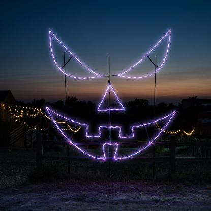 Sinister Pumpkin Face Jack-O-Lantern lit in purple colors at Skinny Bones Pumpkin patch