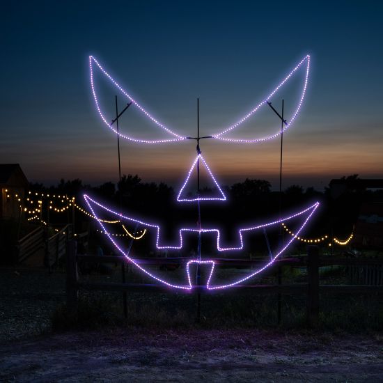 Sinister Pumpkin Face Jack-O-Lantern lit in purple colors at Skinny Bones Pumpkin patch