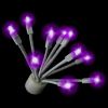 C9 Glitzer Purple lit on black background