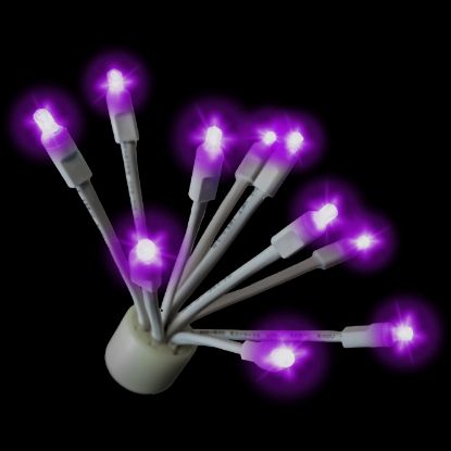 C9 Glitzer Purple lit on black background