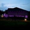 Picture of C9 Glitzer Purple lights w/white base