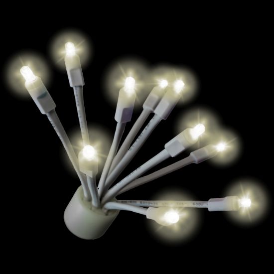 C9 Glitzer Halloween lit on black background