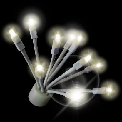 C9 Twinkle Glitzer Warm White lit on black background