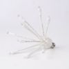 C9 Twinkle Glitzer Warm White unlit on white background, facing left