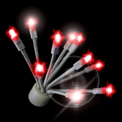C9 Twinkle Glitzer Red lit on black background