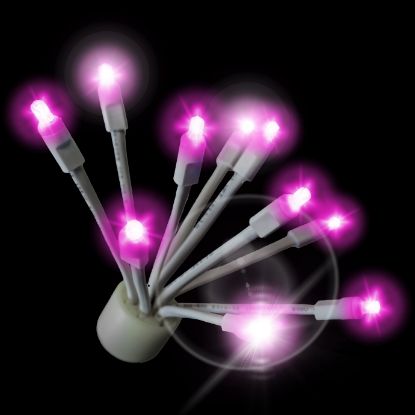 C9 Twinkle Glitzer Pink lit on black background