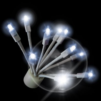 C9 Twinkle Glitzer Cool White lit on black background