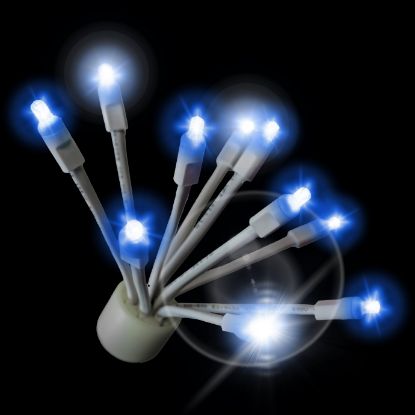 C9 Twinkle Glitzer Blue lit on black background