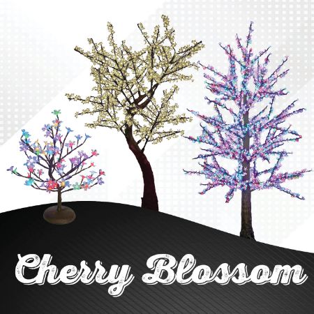 Picture for category Cherry Blossom