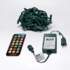 Picture of Dynamic RGBWW 3MM 50 Count, 6" spacing, Green Cord