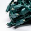 Picture of Dynamic RGBWW 3MM 50 Count, 4" spacing, Green Cord