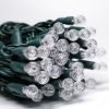Picture of Dynamic RGBWW G12 Bulb 70 Count, 4" spacing, Green Cord