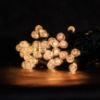 Picture of Dynamic RGBWW G12 Bulb 70 Count, 4" spacing, Green Cord