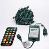 Picture of Dynamic RGBPW 5MM 50 Count, 4" spacing, Green Cord