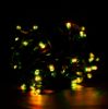 Picture of Dynamic RGBPW 5MM 50 Count, 4" spacing, Green Cord