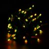 Picture of Dynamic RGBPW 5MM 70 Count, 4" spacing, Green Cord