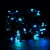 Picture of Dynamic RGBPW 5MM 50 Count, 6" spacing, Green Cord