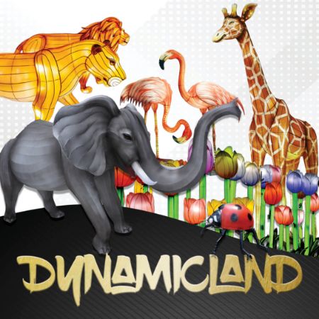 Picture for category Dynamicland