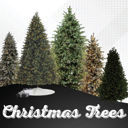 Picture for category Christmas Trees