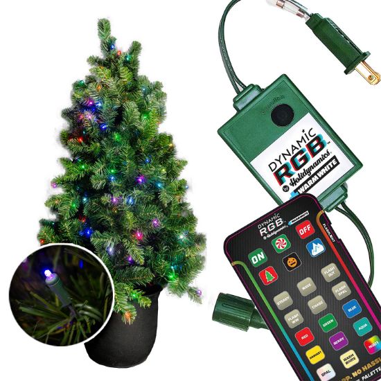 Picture of 48" Overlit RGBWW Oregon Potted Tree, 3MM