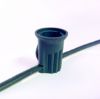 Picture of C9 SPT-1 Green Cord 12" Spacing - 25' with plugs, NEW collar sockets