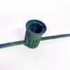Picture of C9 SPT-1 Green Cord 6" Spacing- 25', NEW with collared socket - Pack of 10