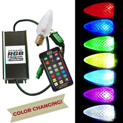 Picture of Dynamic RGB Transparent Faceted C9 bulb Commercial Starter Kit
