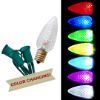 Picture of Dynamic RGB Transparent Faceted C9 bulb Add On Kit