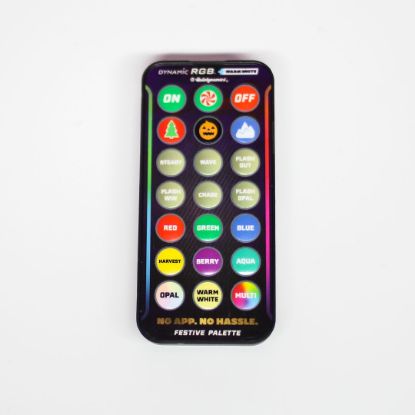 Picture of Dynamic RGBWW® Remote Only — AAA Batteries