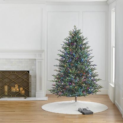 Picture of Dynamic RGBWW 7.5' Full Fraser Pine , 3MM