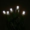 Picture of 5MM 50L 4*6*4*6" Spacing LED Pure White, Gr Cord