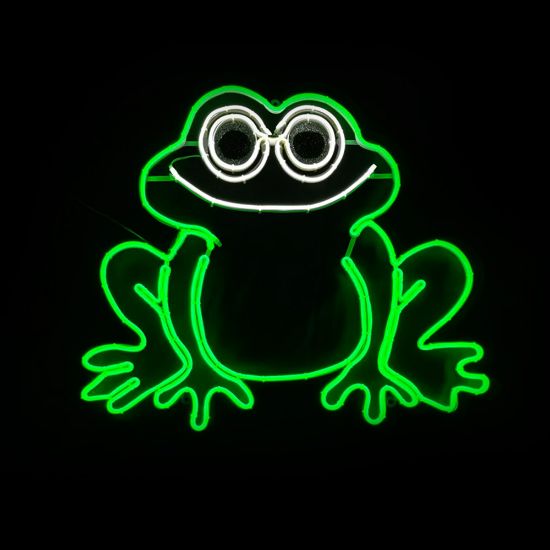 Picture of 2D Frog Sign