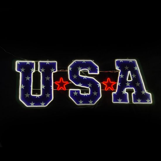 Picture of 2D USA Sign