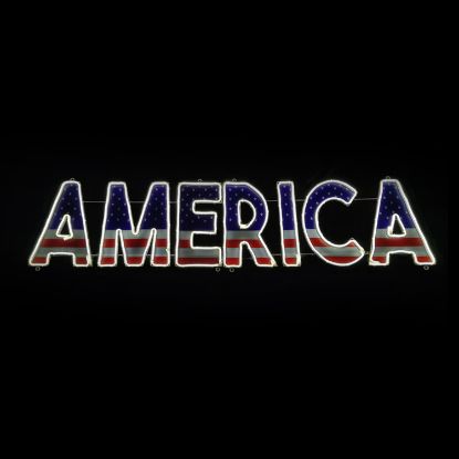 Picture of 2D America Sign