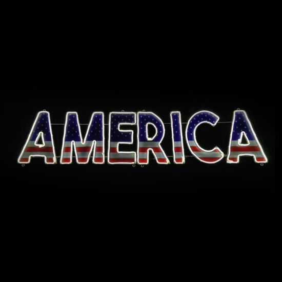 Picture of 2D America Sign