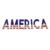 Picture of 2D America Sign