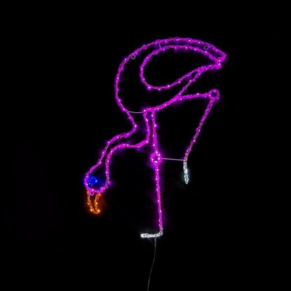 Picture of 2D Flamingo: Bending