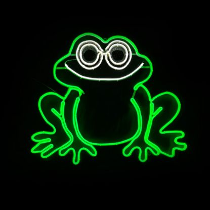 Picture of 2D Frog Sign