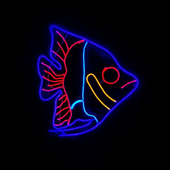 Picture of 2D Tropical Fish Sign