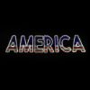 Picture of 2D America Sign
