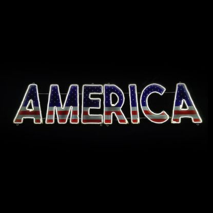Picture of 2D America Sign