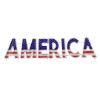 Picture of 2D America Sign