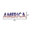 Picture of 2D America Sign