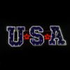 Picture of 2D USA Sign