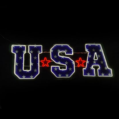 Picture of 2D USA Sign